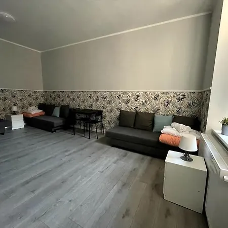 Duzy - Stare - 12 Osob - 6 Lozek Apartment